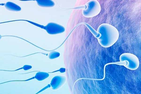 What is a Complete Fertility Workup - How to Test for Fertility - Rise  Fertility